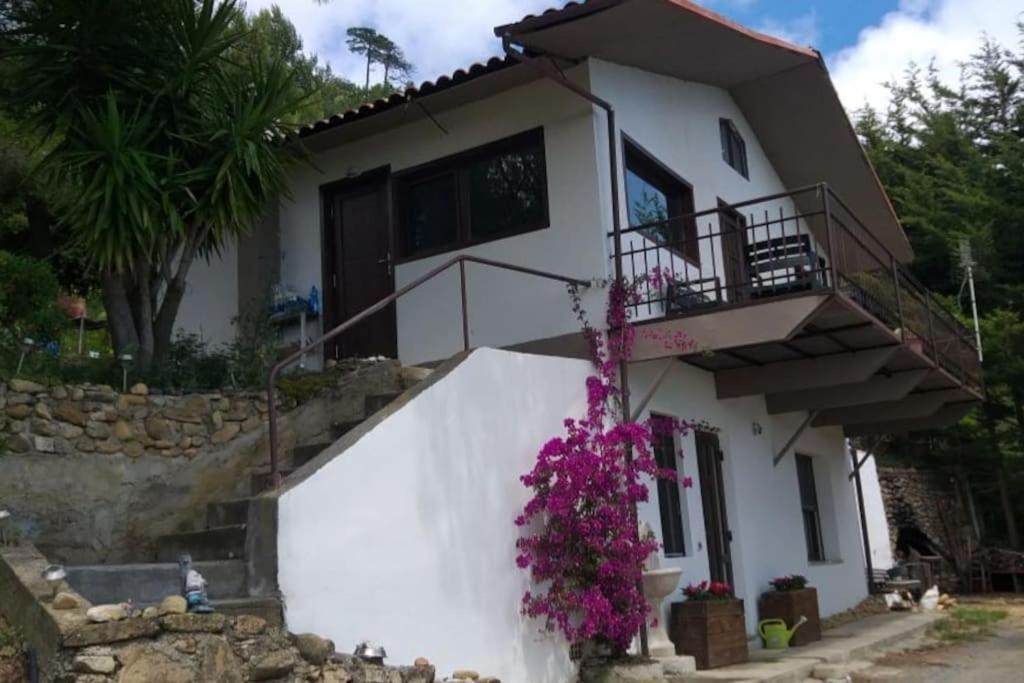 Detached House With Garden And Sea View Sanremo Exterior foto